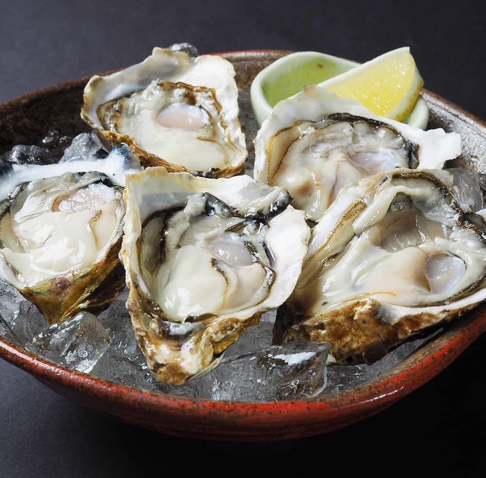 Momokomachi oyster S size