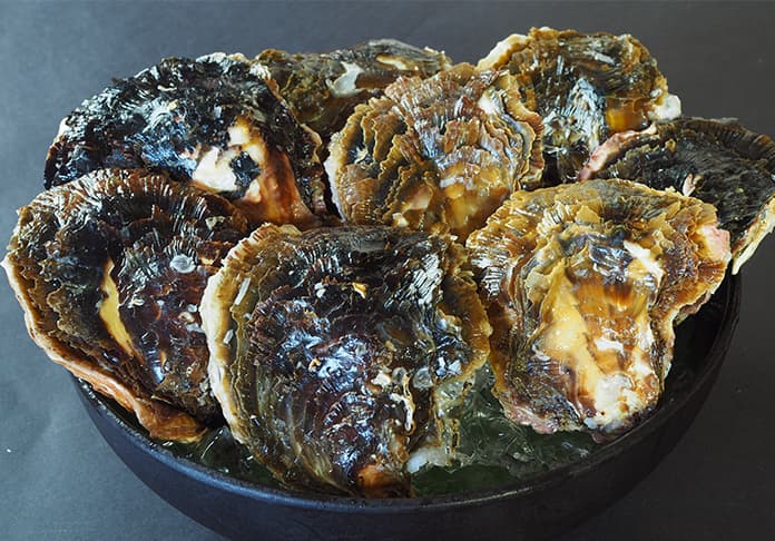 桃取産天然岩牡蠣