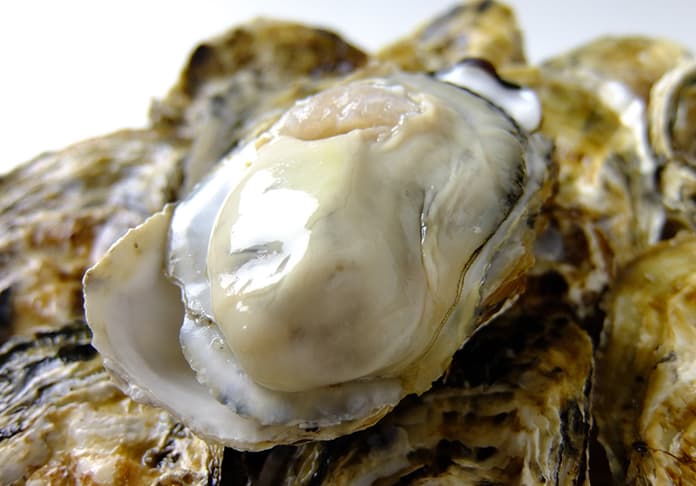 殻付き牡蠣　雅