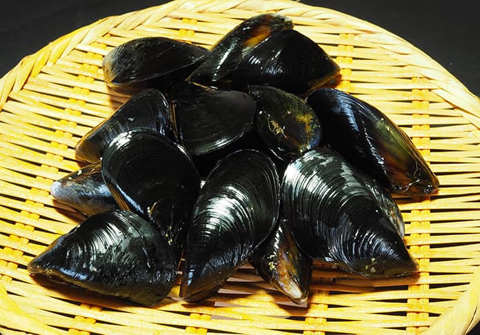 ムール貝